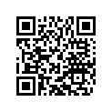 60036035290 SHIM D=10/2,90 03