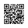 60036035295 SHIM D=10/2,95 03