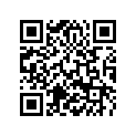 60036035300 SHIM D=10/3,00 03