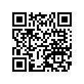 601B6205G ボ-ル ベアリング,#6205C3