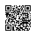 60309073100 RIM BAND 21