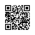6030917010033A Rim 2.5x21TL.bl.w.sticker