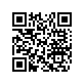 605348881 ANTISLIPERRY RUNNING BAND