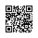 605349381 Limiter