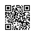 605354029 Filter