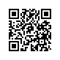 605354835 Rubber Bumber