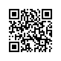 6062281 CHAINOILERFITTING