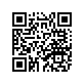 60E-11656-00-00 Вкладыш Шатунный