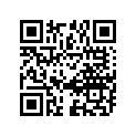 61251-32400 Spacer