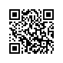 61310016000 WASHER 69X1