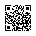 61311-03410-291 Case, Chain (black)