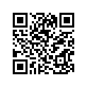61311-46601-019 Case, Chain (black)