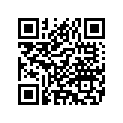 6131182 GASKET