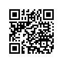6132579 DECALUPPERRIGHT