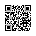 617300040 Circlip