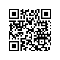 617330062 Ring Lock