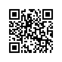 617394252 Shim 0,3mm
