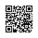 617395065 Shim 0,3mm