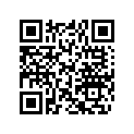 619100028 Key
