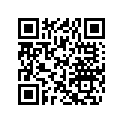 619300172 Rubber Cushion