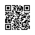 62332-41631