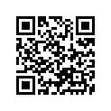 63113-41000-163