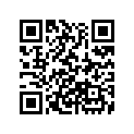 63217-ZW5-000 BUSH