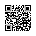 6359572 BODYASSY