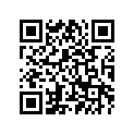 63P-11417-41-00 Вкладыш Коленвала