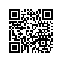63P-11656-30-00 Вкладыш Шатунный