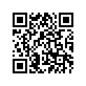 63P-12111-00-00 Клапан Впускной