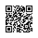 64100-49810-291