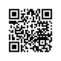 64108-MG9-872 SIDE SCREEN R