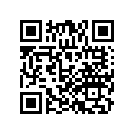 64121-MCF-000 RUBBER, PROTECTOR