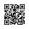 64465-KZZ-J00 RUBBER SPONGE, RR.