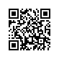 648-42715-00-00 Втулка Резьбовая