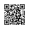 648-45635-00-00 PLUNGER,SHIFT