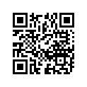 65100-36011-000 Tire (2.75-18), irc