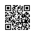 65100-38310-000 Tire (4.60s 16) irc