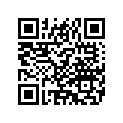 6543172 MUFFLERSR