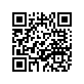 65V-45538-00-00 Втулка Металлическая