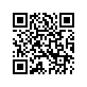 66000032 BATTERYSTRAPASY