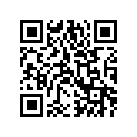 6606-877 PAD,RUBBER-45 X 110 X 1.6