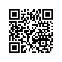 6606-983 PAD,RUBBER-55X490