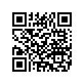 6621471 BRACKETCAPITOLEXCESS