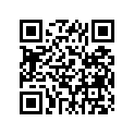 663-45576-00-00 Шайба
