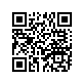 664-45567-40-00 Шайба Регулировочная