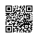 664-45587-01-00 Шайба Регулировочная