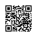66E-11631-00-D0 Поршень