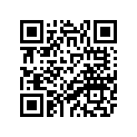 66M-13131-10-00 PLUNGER